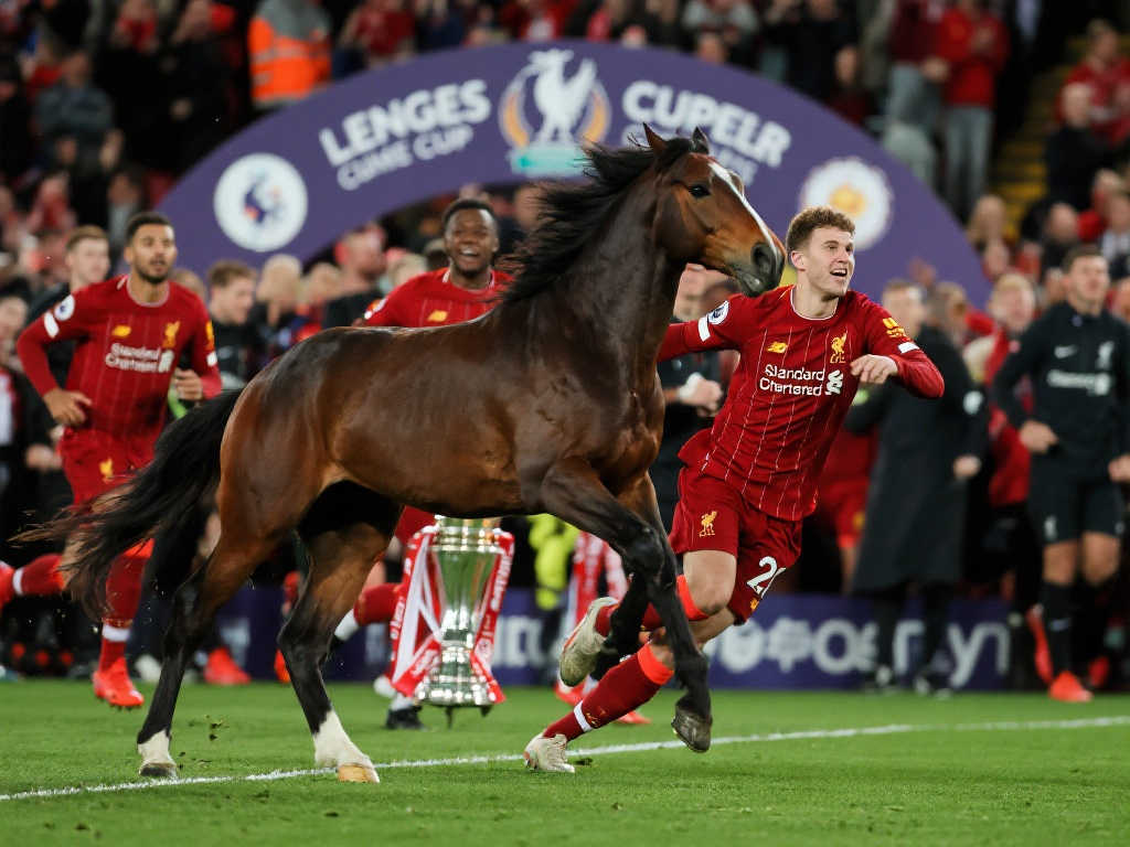 但他们没想 但他们没想